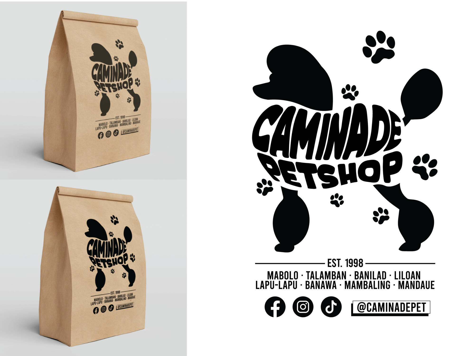 Paper bag Design