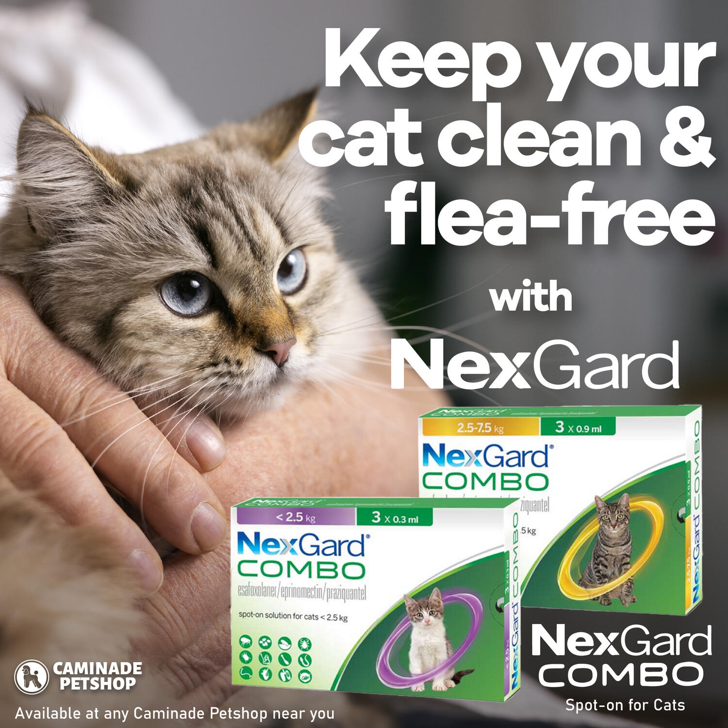 NexGard Combo
